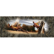 Ringneck Pheasant Tailgate 001